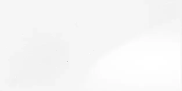 Artic White - Kakel 1