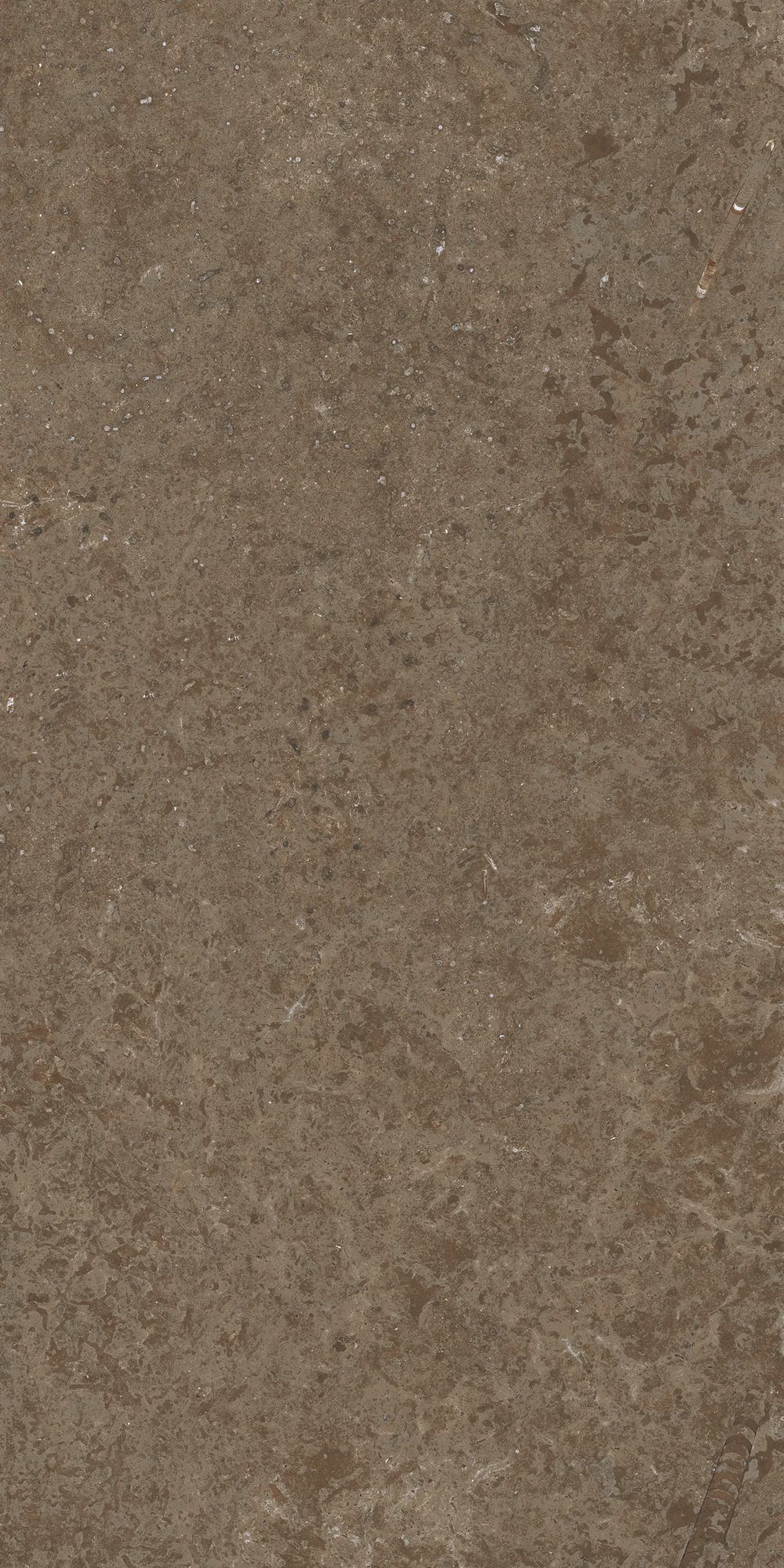 Kalk Classic - Klinker 8