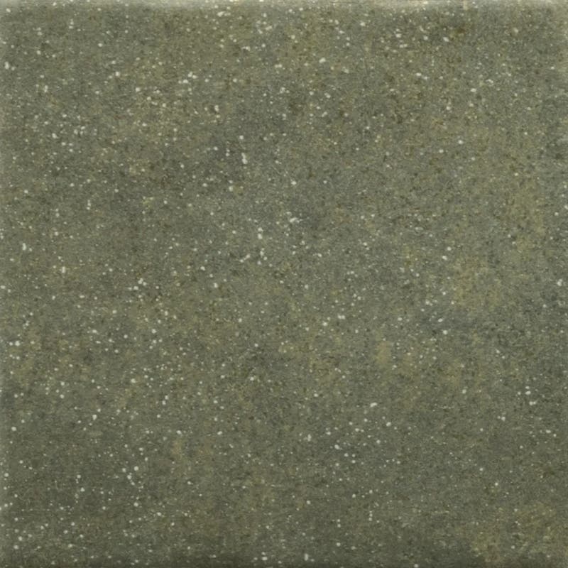 Stage Forest - Stage