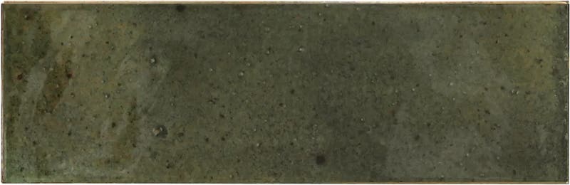 Hanoi Wild Olive - Hanoi