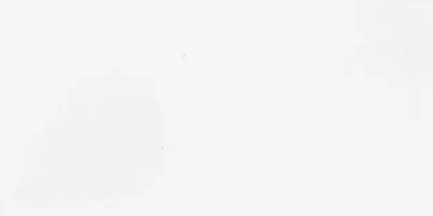 Artic White - Kakel 1