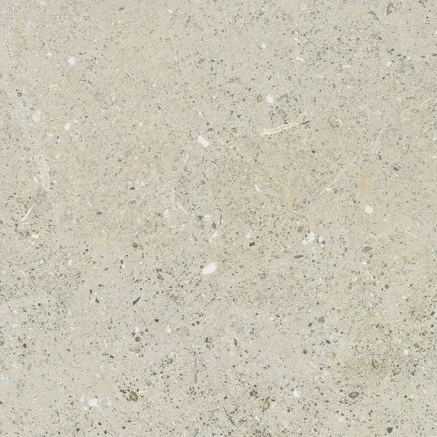 Solida White - Solida