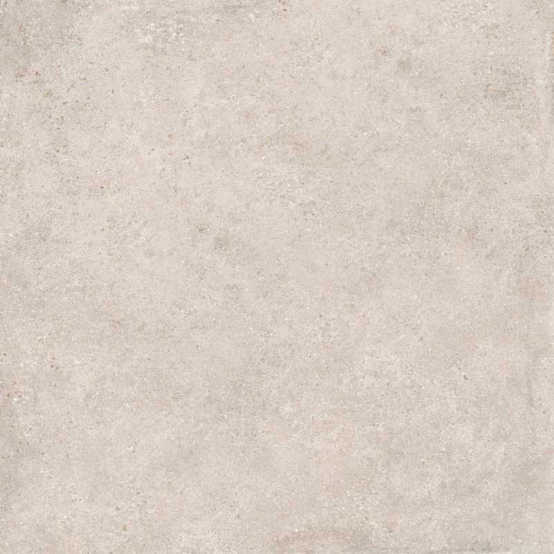 Tribeca Tortora - Tribeca