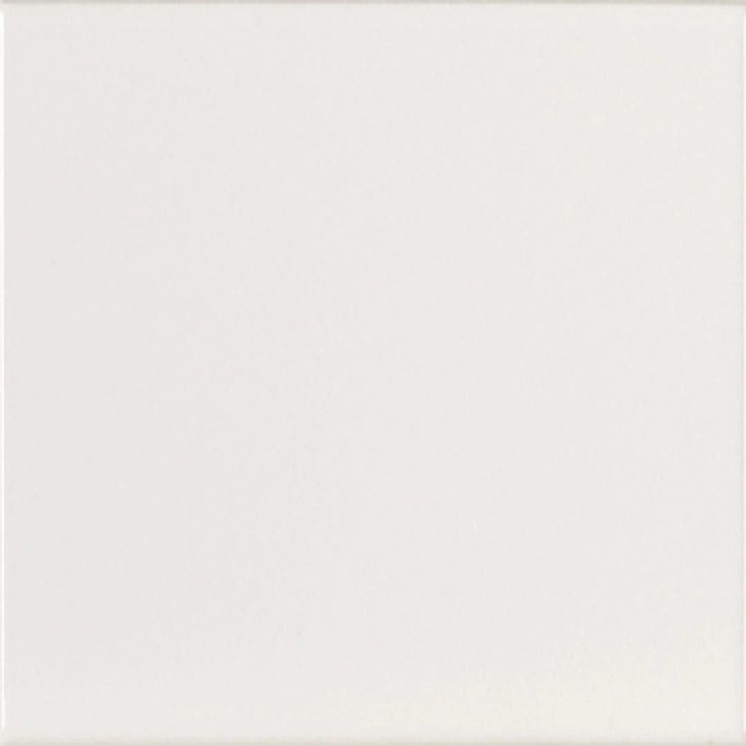 Evolution Vit - Kakel 1