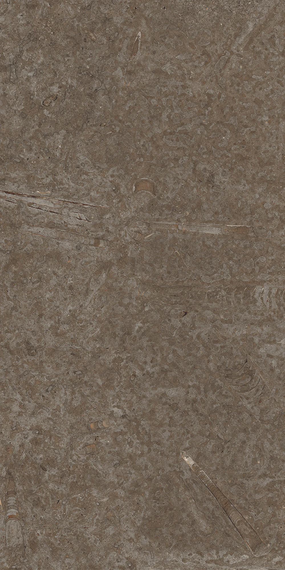 Kalk Classic - Klinker 10