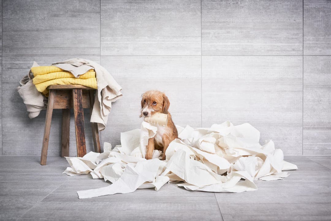 Cem Grigio Cassero - Klinker 3