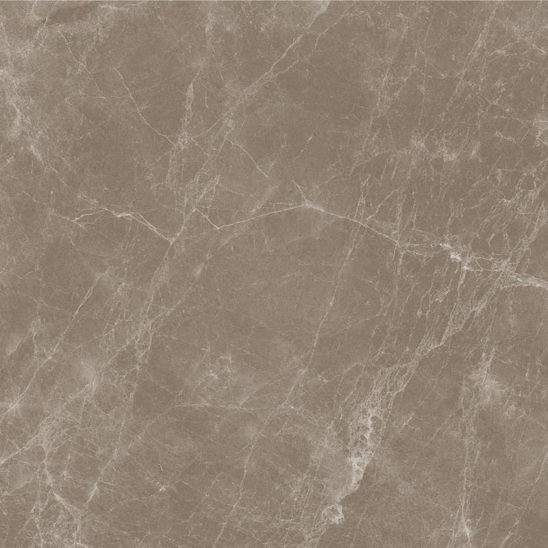 Marmoker Jolie - Marmoker