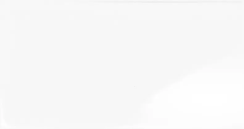 PT Vit blank - Vitt kakel