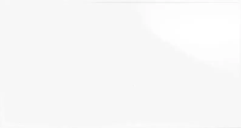 Sp Vit blank - Vitt kakel